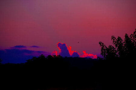 A bright red sky at night with trees below