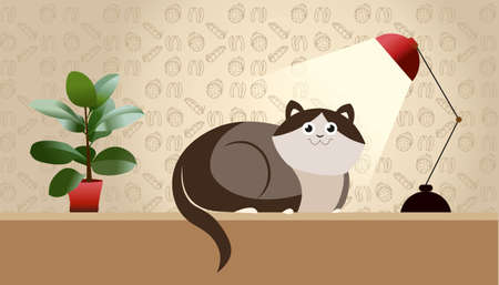 a black cat is warming itself under a lamp on the tableの写真素材