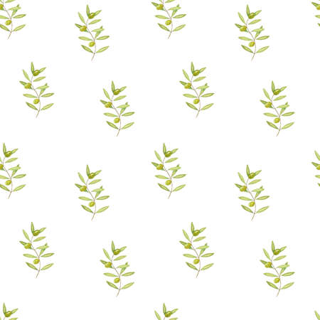Seamless pattern of olive branches. Watercolor drawingの写真素材