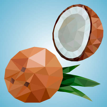 Coconut in polygonal style. Vector fruit. Vector illustrationのイラスト素材