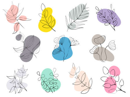 A branch with leaves is a natural line. Minimalistic design. Vector illustrationのイラスト素材