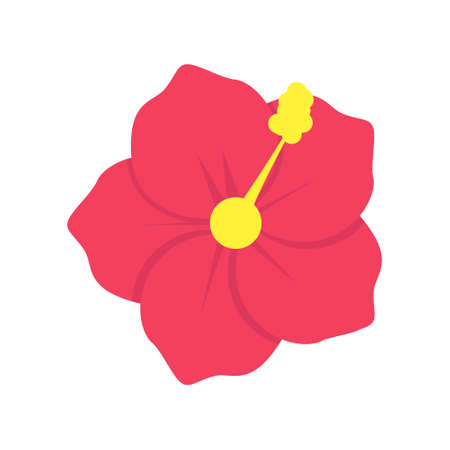 Tropical orchid flower. Isolated on a white background. Vector illustrationのイラスト素材