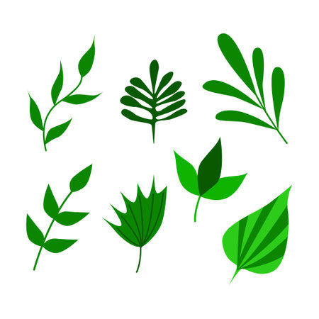 A set of green twigs and leaves. Isolated on a white background. Vector illustrationのイラスト素材