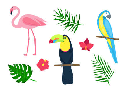 Set of tropical birds, palm leaves and flowers. Isolated on a white background. Vector illustrationのイラスト素材