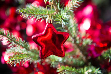 Christmas holiday background with red shiny decorations on Christmas treeの写真素材