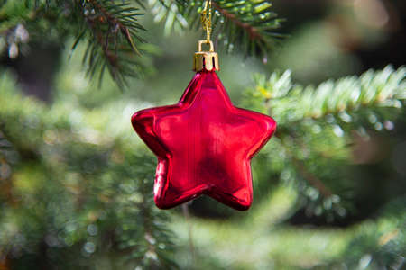 Red Christmas tree toy in the shape of a star on a blurred background of a green Christmas treeの写真素材