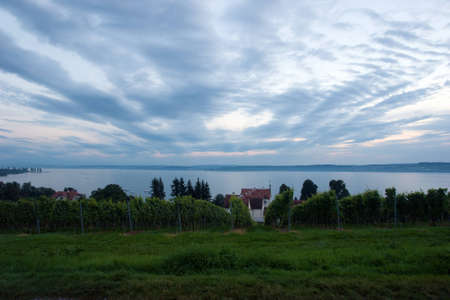 The Meersburg vineyards at the northern banks of Lake Constance, Germanyの写真素材