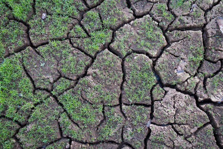 Cracked clay ground into the dry seasonの写真素材