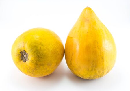 Fresh Pouteria campechiana tropical fruit on white backgroundの写真素材