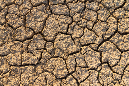 Dry cracked earth textureの写真素材
