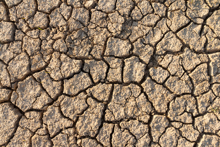 Dry cracked earth textureの写真素材