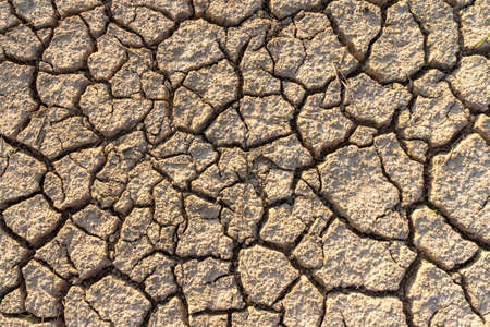 Cracked clay ground into the dry seasonの写真素材