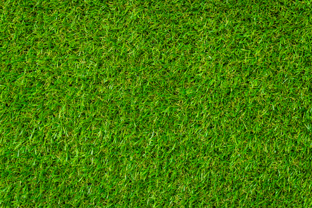 Green grass backgroundの写真素材