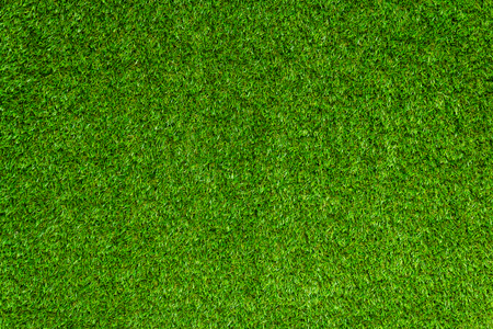 Green grass backgroundの写真素材
