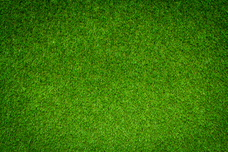Green grass backgroundの写真素材