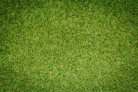Green grass backgroundの写真素材