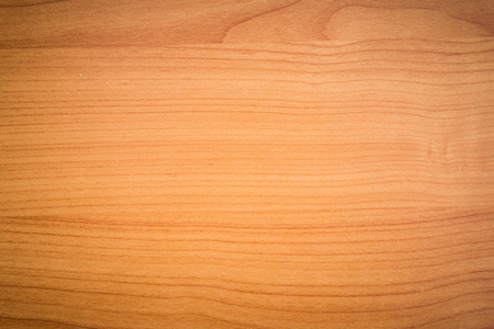 Texture of wood backgroundの写真素材