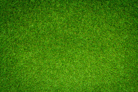 Green grass backgroundの写真素材