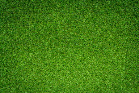 Green grass backgroundの写真素材