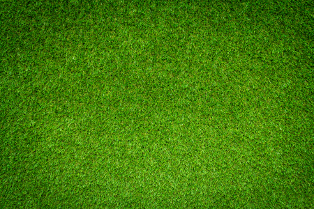 Green grass backgroundの写真素材