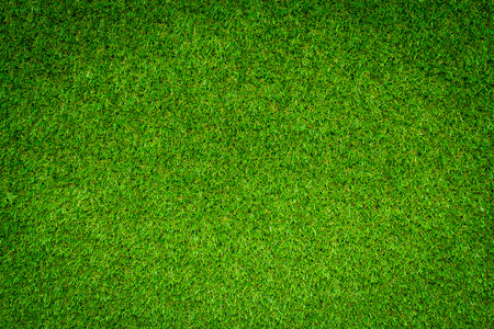Green grass backgroundの写真素材