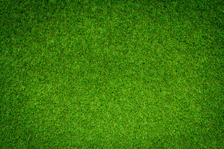 Green grass backgroundの写真素材