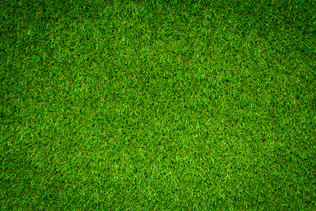 Green grass backgroundの写真素材