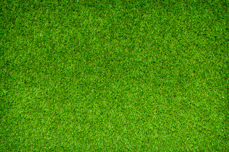 Green grass backgroundの写真素材