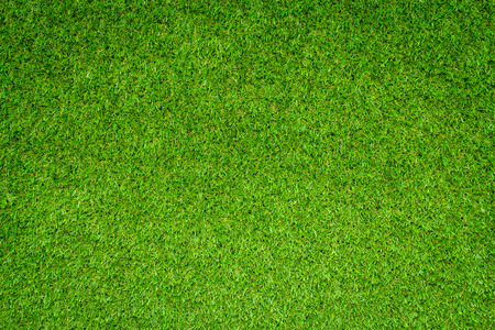 Green grass backgroundの写真素材