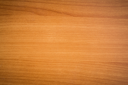 Texture of wood backgroundの写真素材
