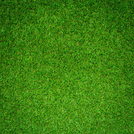 Green grass backgroundの写真素材
