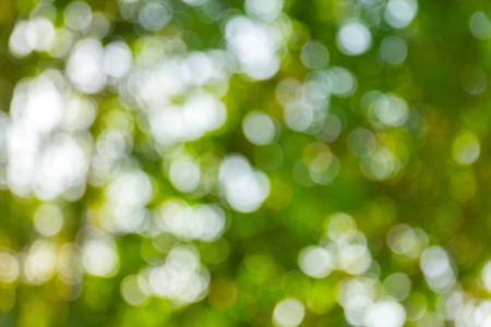 Natural green bokeh abstract backgroundの写真素材