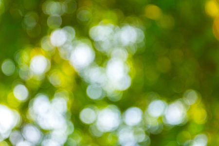 Natural green bokeh abstract backgroundの写真素材