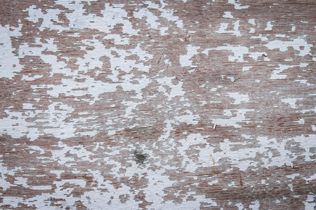 Texture of wood backgroundの写真素材