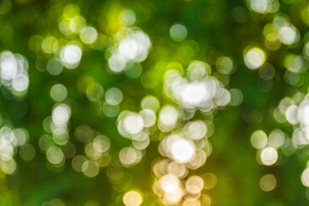 Natural green bokeh abstract backgroundの写真素材