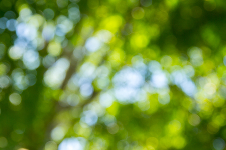 Natural green bokeh abstract backgroundの写真素材