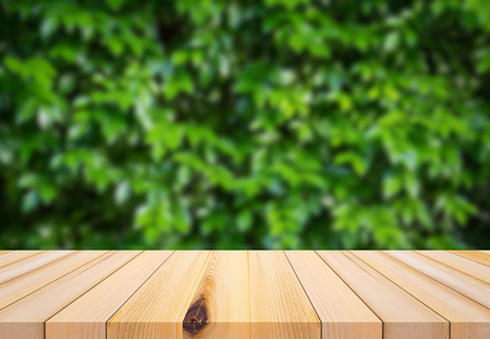 wood plank with abstract natural green leaf background for product displayの写真素材