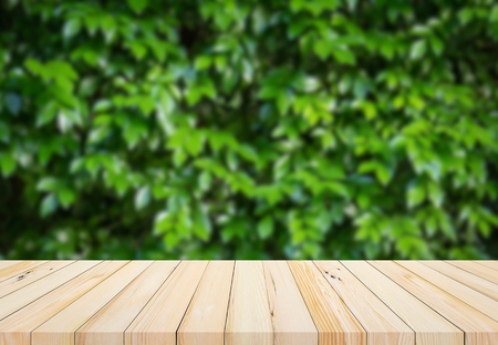 wood plank with abstract natural green leaf background for product displayの写真素材