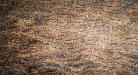 Texture of wood backgroundの写真素材