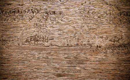 Texture of wood backgroundの写真素材