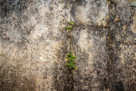 old and grung concrete wall backgroundの写真素材