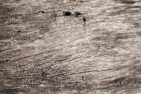 Texture of wood backgroundの写真素材