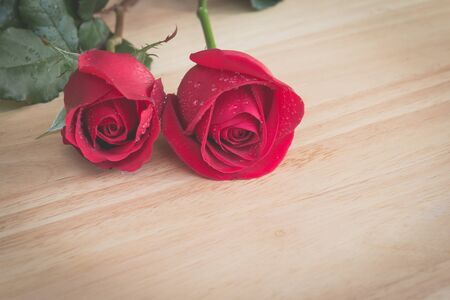 Two red rose on wood desk with vintage filter, Love backgroundの写真素材