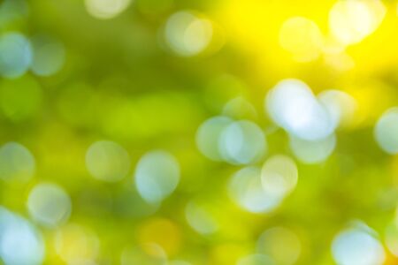 Natural green bokeh abstract backgroundの写真素材