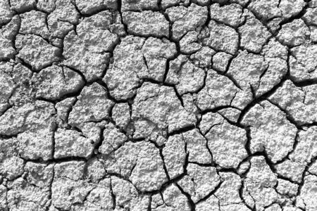 Black and white cracked earth texture backgroundの写真素材