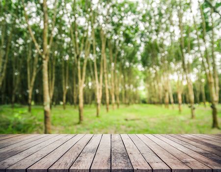 Old wood plank with abstract rubber plantation blurred background for product displayの写真素材