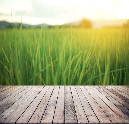 Empty of wooden table or wood floor with blurred rice field background for product display montage.の写真素材