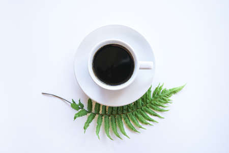 Top view of dark americano hot coffee in white coffee cup with green fern leaves on white background, minimal style concept.の写真素材