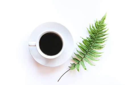 Top view of dark hot coffee in white coffee cup with green fern leaves on white background, Minimal style concept.の写真素材