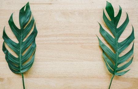 Flat lay of Green tropical Monstera leaf on wood background with copy spaceの写真素材